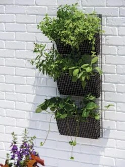 Wire Wall Pockets Vertical Gardens -Garden Serie Store 8609429 0350 tif