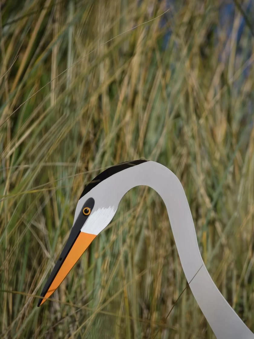 Florida Dancing Birds®, Great Blue Heron 5 Florida Dancing Birds®, Great Blue Heron - Image 3