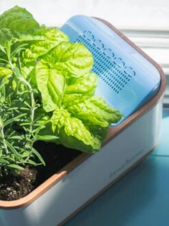 Dewplanter -Garden Serie Store 8609512 04V