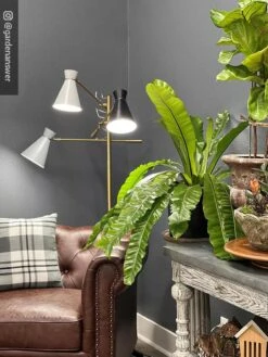 Adjustable 3-Arm Grow Lamp -Garden Serie Store 8609868 01IN tif