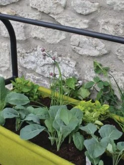 Vigoroot™ Self-Watering Easy Garden Planter -Garden Serie Store 8609879 04V tif