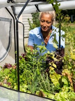 VegTrug®Patio Garden Greenhouse Cover Kit -Garden Serie Store 8610172 1256