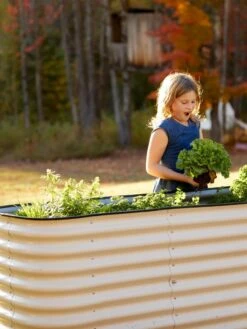 Birdies™ Modular Metal Raised Bed, Tall -Garden Serie Store 8610174 5015 tif