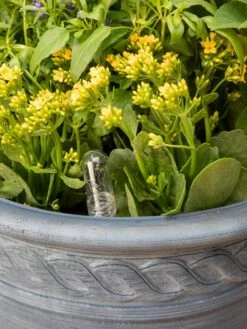 Adjustable Self-Watering Insert For Pots And Planters 21 Adjustable Self-Watering Insert For Pots And Planters -Garden Serie Store 8610250 0010 tif