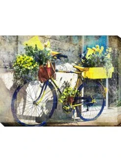 Blue And Yellow Bike Outdoor Wall Art,