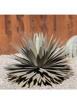 Desert Steel Yucca Plant Sculpture 9 Desert Steel Yucca Plant Sculpture -Garden Serie Store 8610744 02v
