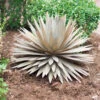 Desert Steel Yucca Plant Sculpture -Garden Serie Store 8610744 03v desert steel yucca plant