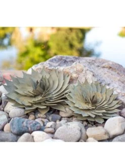 Desert Steel Spiral Aloe Sculpture -Garden Serie Store 8610749 04v