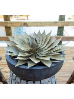 Desert Steel Spiral Aloe Sculpture -Garden Serie Store 8610750 02v