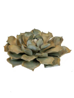 Desert Steel Blue Rose Succulent Sculpture 11 Desert Steel Blue Rose Succulent Sculpture -Garden Serie Store 8610763 01v desert steel blue rose succulent small