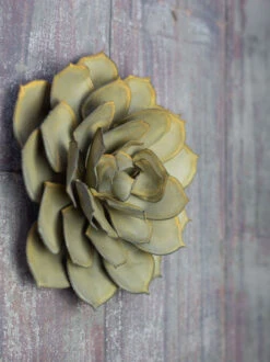 Desert Steel Blue Rose Succulent Sculpture 10 Desert Steel Blue Rose Succulent Sculpture -Garden Serie Store 8610764 02v