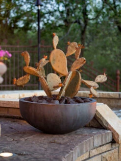 Desert Steel Prickly Pear Cactus Sculpture, Redondo -Garden Serie Store 8610768 03v