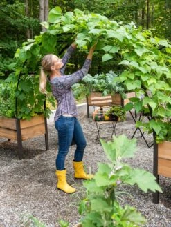 2’ X 8’ Arch Trellis For Planter Boxes -Garden Serie Store 8610798 050 tif