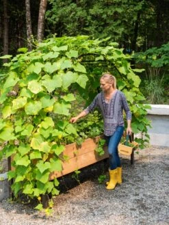 Garden Serie Store -Garden Serie Store 8610798 062 tif