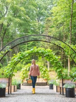 2’ X 8’ Arch Trellis For Planter Boxes -Garden Serie Store 8610798 071 tif