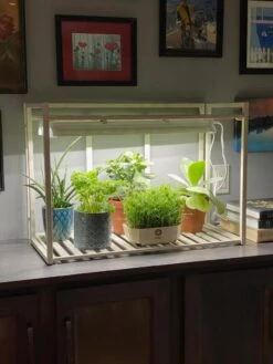 Oslo 1-Tier LED Grow Light Garden -Garden Serie Store 8611002 01IN tif