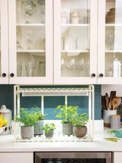 New Products 9 Oslo 1-Tier LED Grow Light Garden