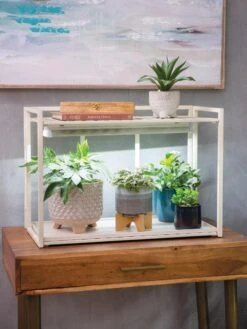 New Products -Garden Serie Store 8611002 2000 tif