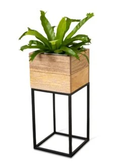 Tartu Elevated Square Planters 20 Tartu Elevated Square Planters -Garden Serie Store 8611005 036