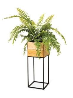 Tartu Elevated Square Planters 18 Tartu Elevated Square Planters -Garden Serie Store 8611006 033
