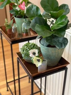 Square Nesting Plant Stands With Trays, Set Of 2 -Garden Serie Store 8611014 3651 tif