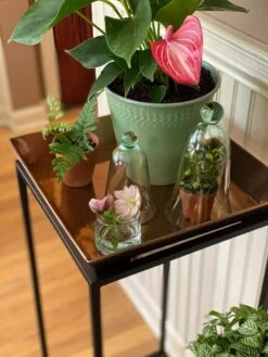 New Products -Garden Serie Store 8611014 3655 tif