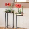 Square Nesting Plant Stands With Trays, Set Of 2 1 Square Nesting Plant Stands With Trays, Set Of 2 -Garden Serie Store 8611014 3660 tif