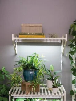 New Products -Garden Serie Store 8611516 8400 tif