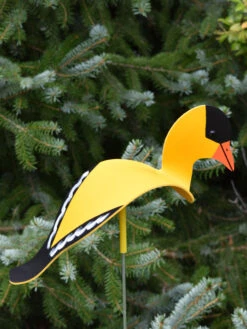 Florida Dancing Birds®, Songbirds -Garden Serie Store 8611629 04v