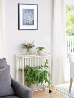 New Products -Garden Serie Store 8611766 0044 tif