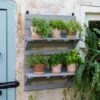 VegTrug® Herb Rack -Garden Serie Store 8611930 6402 tif