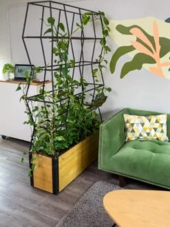 Self-Watering Partition Planter -Garden Serie Store 8611952 001 tif