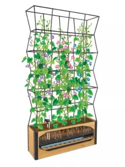 Self-Watering Partition Planter -Garden Serie Store 8611952 art 3 4