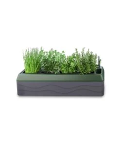 Provence Self-Watering Herb Planter -Garden Serie Store 8611965 03V tif