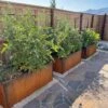 Nice Corten Trough Planters With Trellis -Garden Serie Store 8612390 02V jpg
