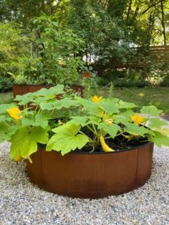 Birdies™ Corten Steel Round Raised Beds -Garden Serie Store 8612422 0484 tif
