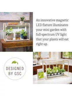 Tabletop Grow Kit -Garden Serie Store 8612507 4