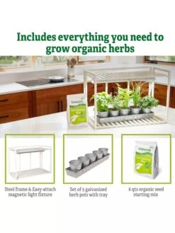 Tabletop Grow Kit -Garden Serie Store 8612507 6