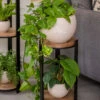Double Tower Plant Stand 1 Double Tower Plant Stand -Garden Serie Store 8612683 2228 double tower plant stand