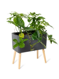 Ava Self-Watering Rectangular Planter -Garden Serie Store 8612691 0013