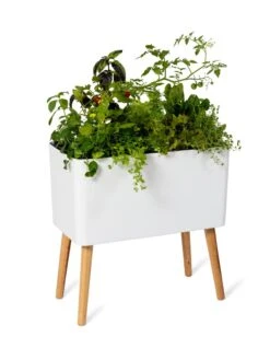 Ava Self-Watering Rectangular Planter -Garden Serie Store 8612691 0014