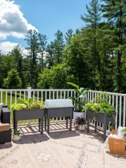 Self-Watering Standing Salad Planter With Cloche -Garden Serie Store 8612702 2002 tif