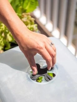 Self-Watering Standing Salad Planter With Cloche -Garden Serie Store 8612702 2034 tif