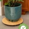 Bamboo Plant Caddy Round, 15.75" -Garden Serie Store 8612716 14