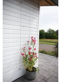 Chicken Wire Wall Trellis -Garden Serie Store 8612717 0081