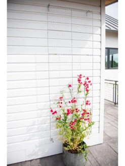 Chicken Wire Wall Trellis -Garden Serie Store 8612717 0093