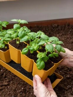 Gardener's Best® XL 6-Cell Planting Tray, Set Of 4 -Garden Serie Store 8613031 6300