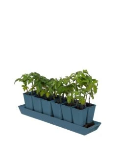 Gardener's Best® XL Seed Starting Kit -Garden Serie Store 8613066 0029