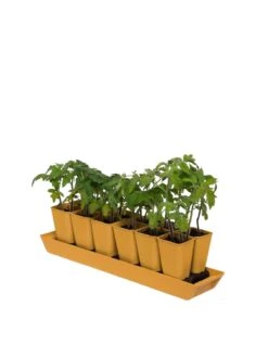 Gardener's Best® XL Seed Starting Kit -Garden Serie Store 8613066 1029