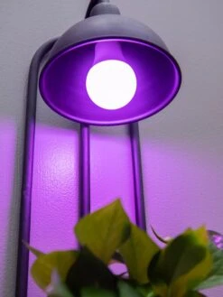 Kira Grow Light Hanging Planter 10 Kira Grow Light Hanging Planter -Garden Serie Store 8613232 5663